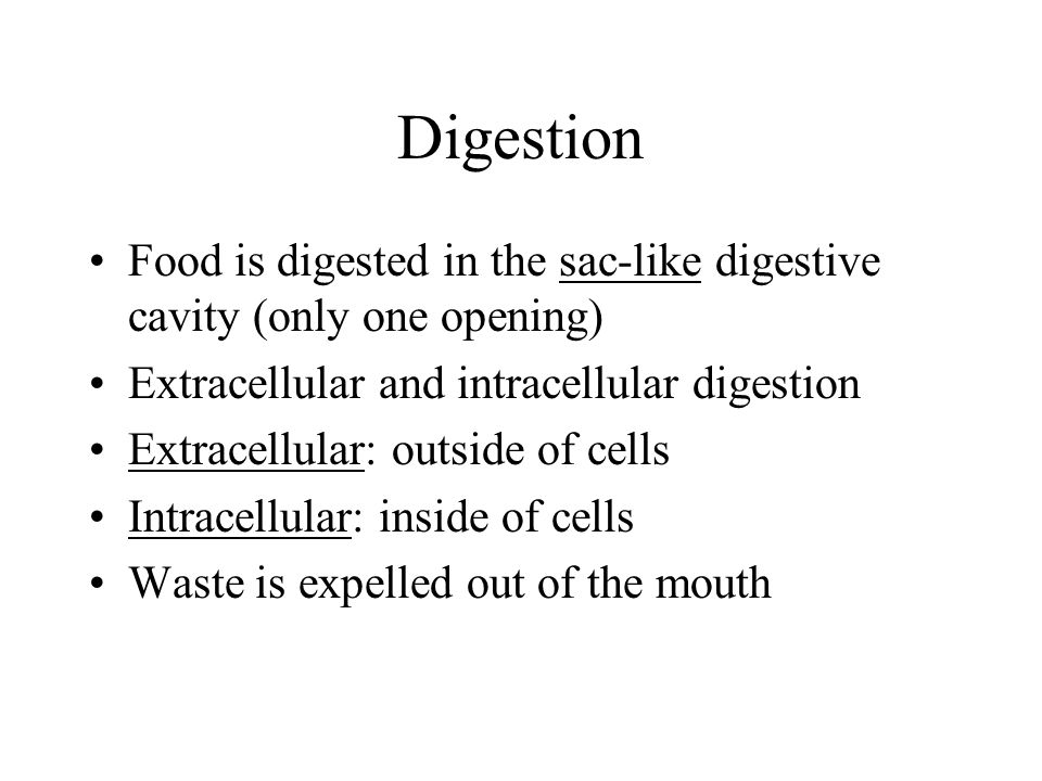 Digestion Food is digested in the sac-like digestive cavity (only one opening) Extracellular and intracellular digestion.