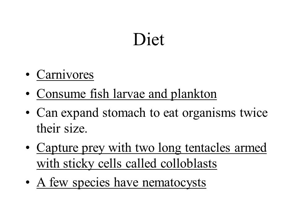 Diet Carnivores Consume fish larvae and plankton