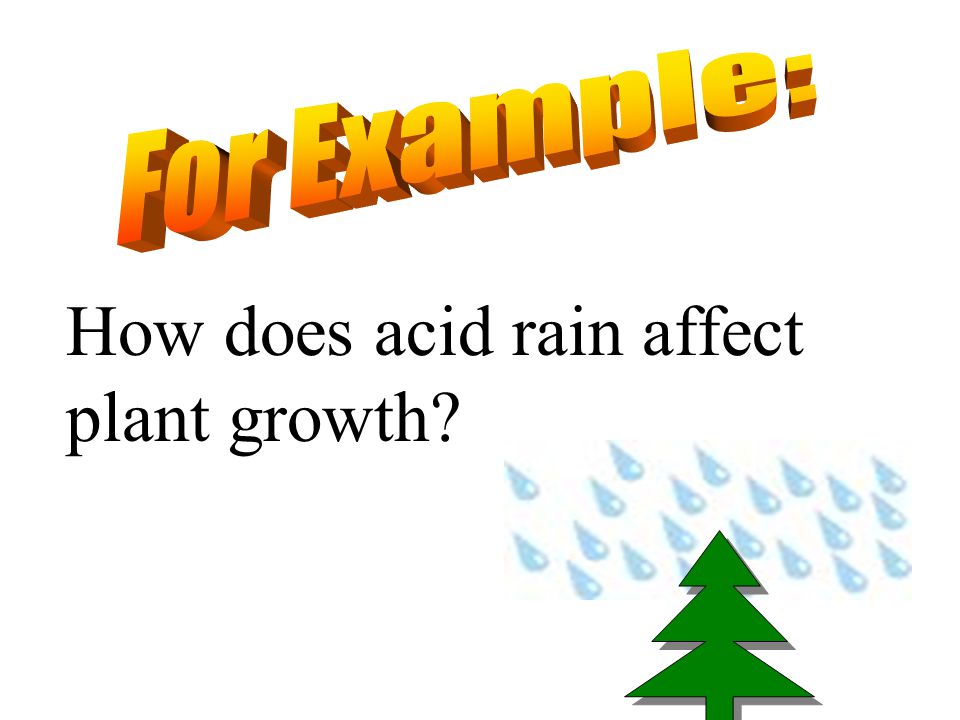 How does acid rain affect plant growth