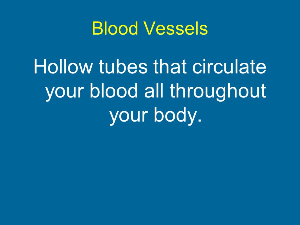 Hollow tubes that circulate your blood all throughout your body.