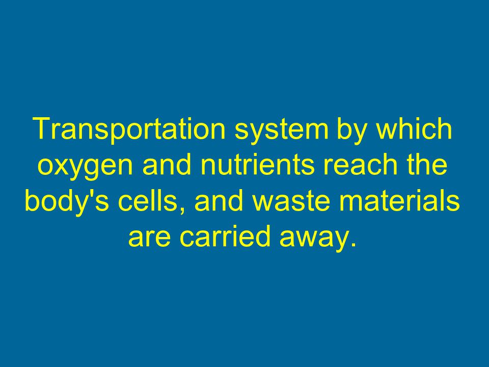 Transportation system by which oxygen and nutrients reach the body s cells, and waste materials are carried away.