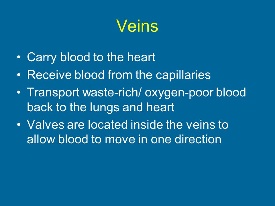 Veins Carry blood to the heart Receive blood from the capillaries