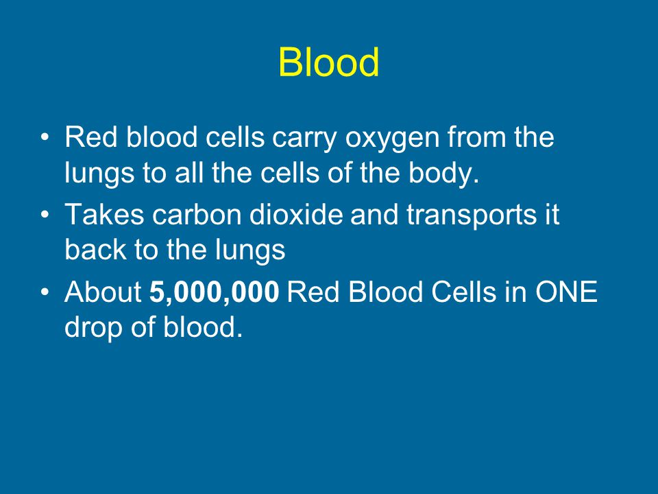 Blood Red blood cells carry oxygen from the lungs to all the cells of the body. Takes carbon dioxide and transports it back to the lungs.