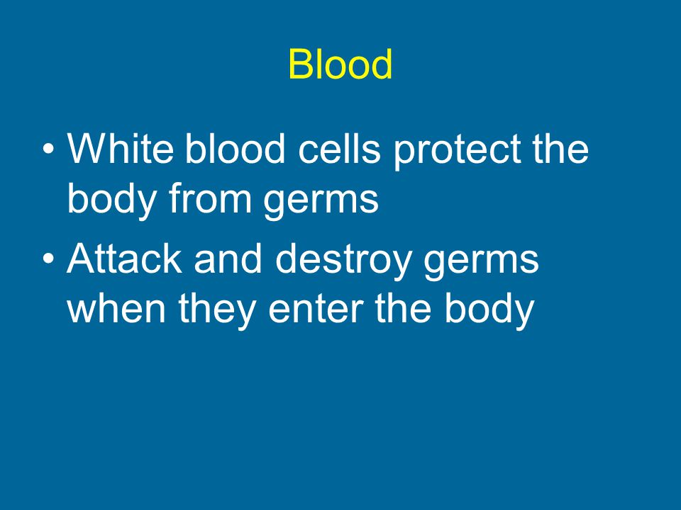 Blood White blood cells protect the body from germs.