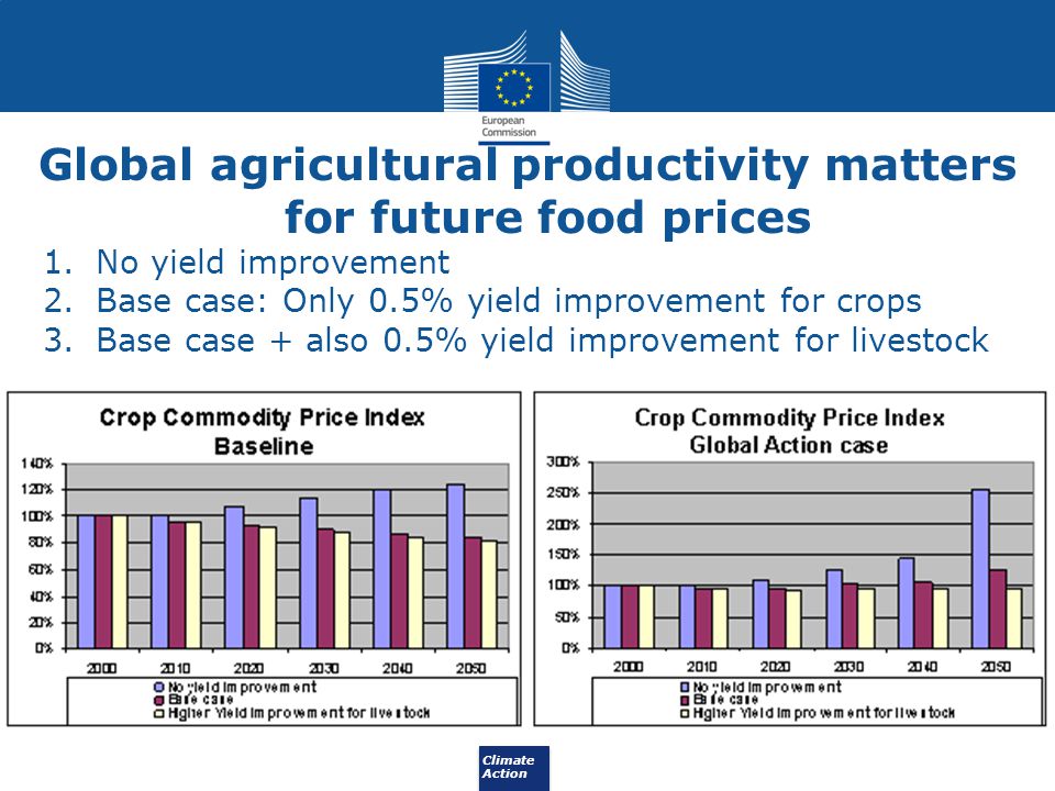 Global agricultural productivity matters for future food prices