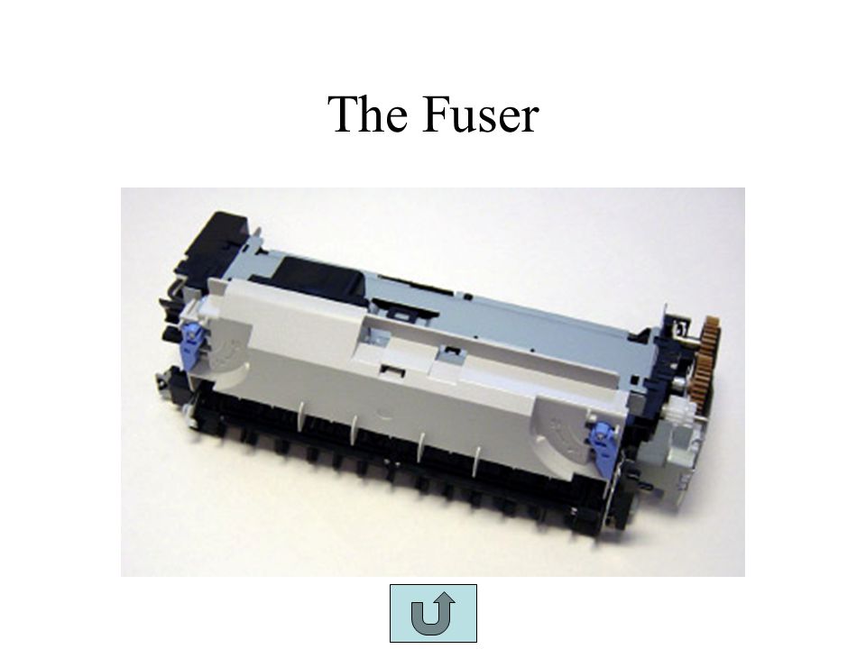 The Fuser