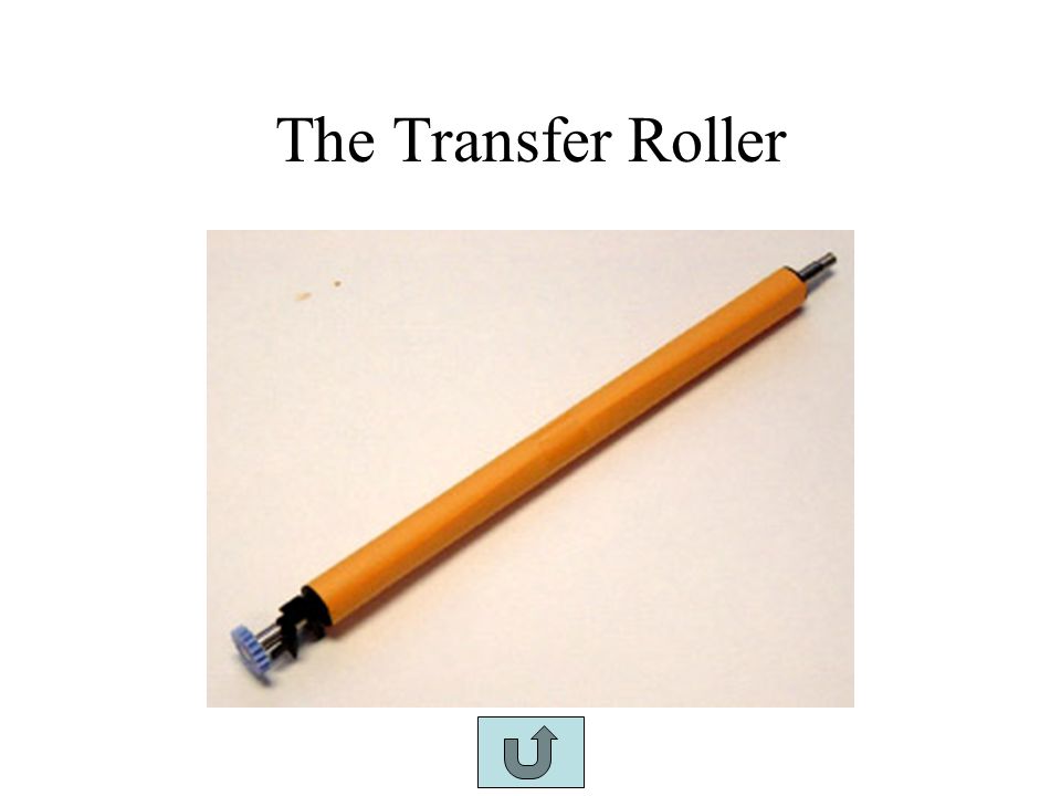 The Transfer Roller