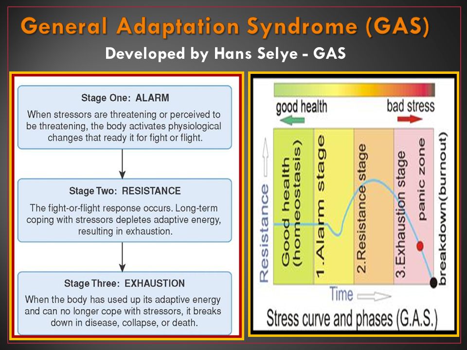 General Adaptation Syndrome (GAS)