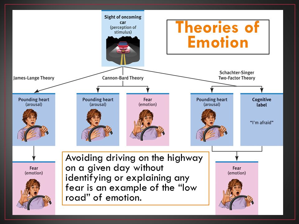 Theories of Emotion.