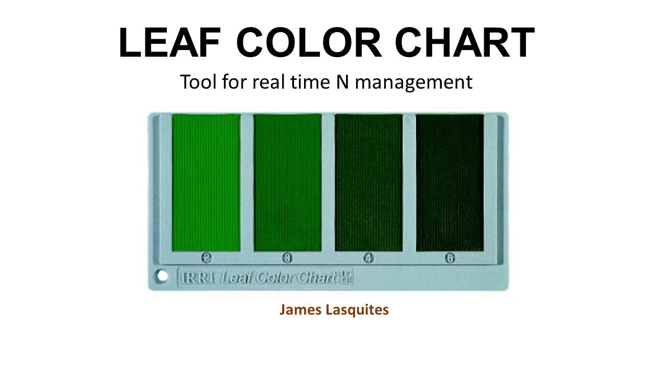 Leaf Colour Chart Based Nitrogen Management