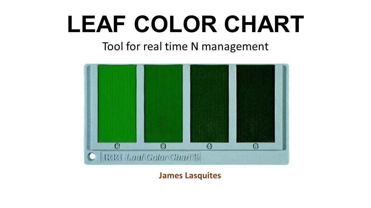 How To Use Leaf Color Chart