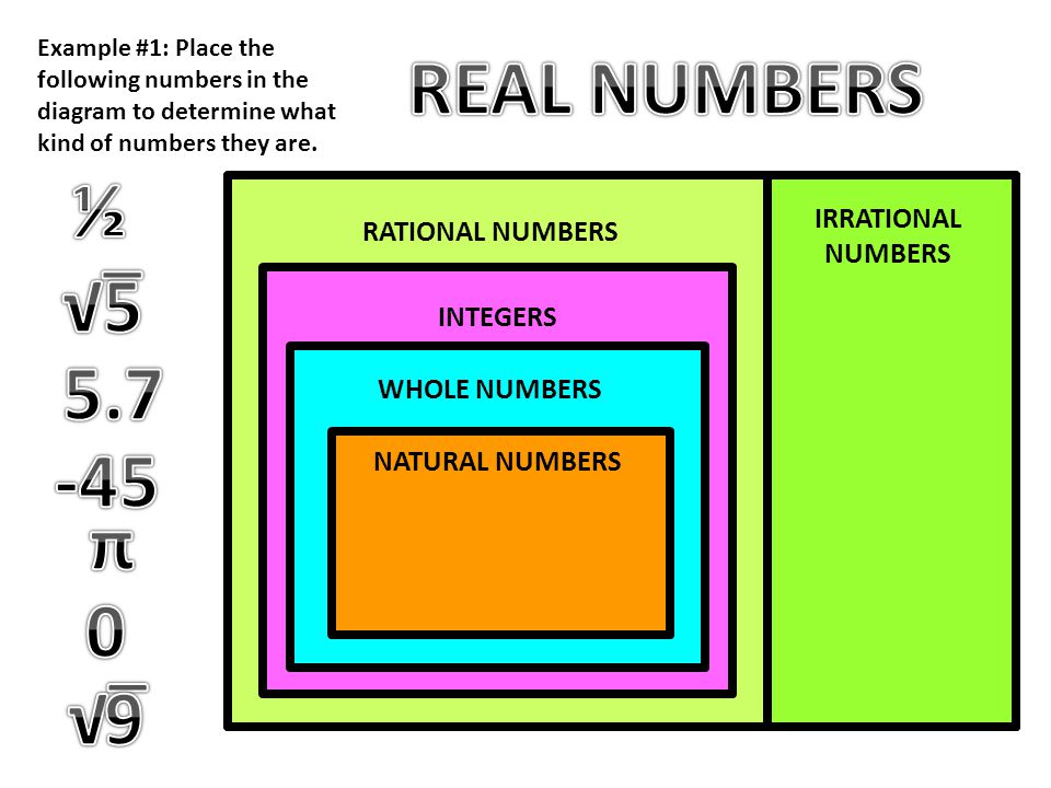 REAL NUMBERS ½ √‾ π √‾ 9 REAL NUMBERS IRRATIONAL NUMBERS
