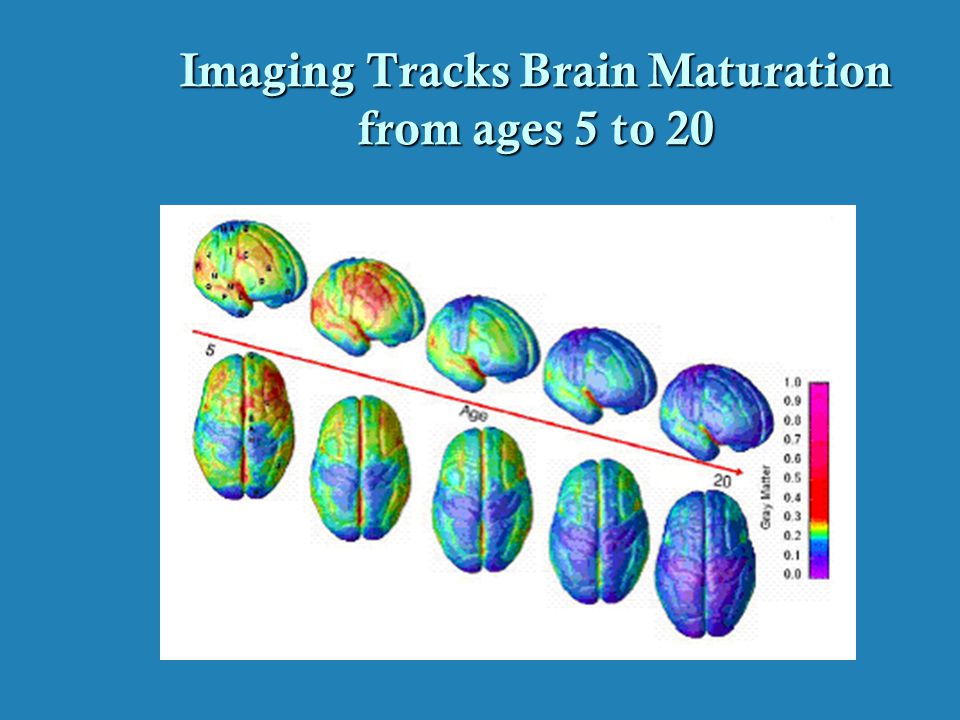 Imaging Tracks Brain Maturation from ages 5 to 20