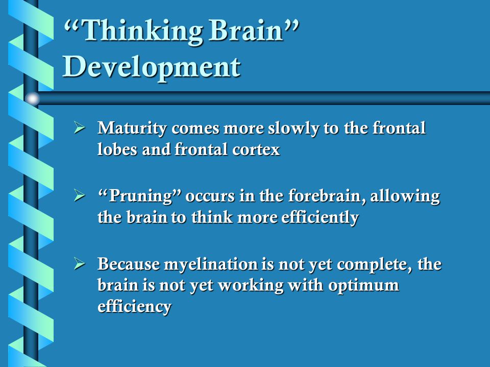 Thinking Brain Development