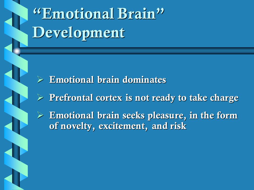 Emotional Brain Development