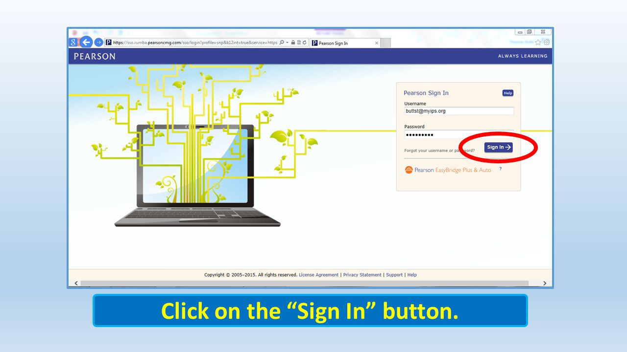 Click on the Sign In button.