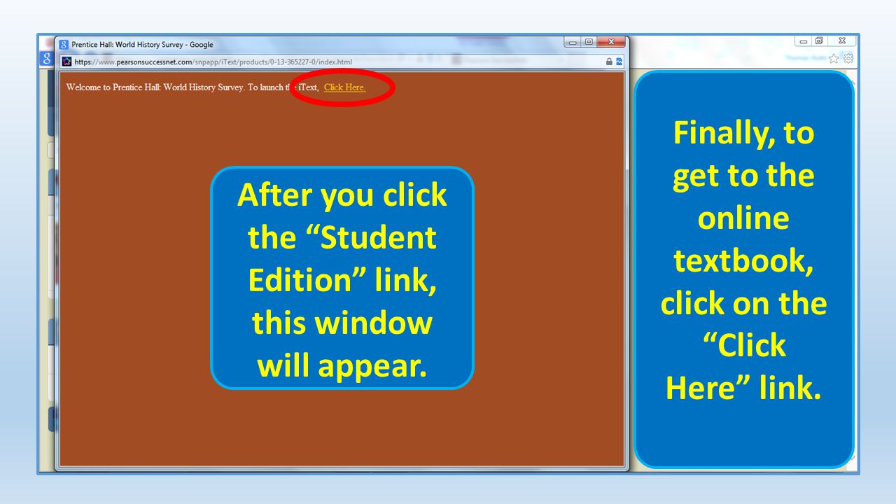 After you click the Student Edition link, this window will appear.