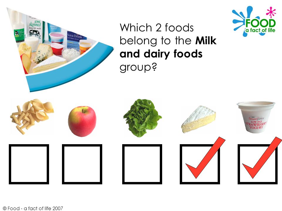 Which 2 foods belong to the Milk and dairy foods group