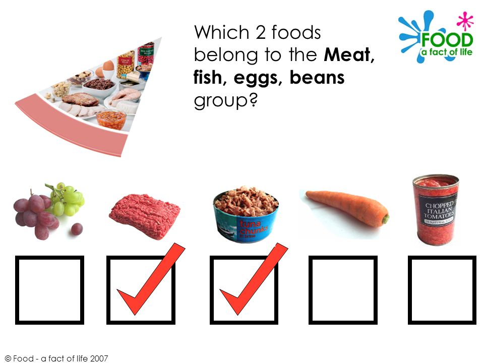 Which 2 foods belong to the Meat, fish, eggs, beans group