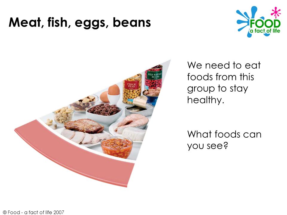 Meat, fish, eggs, beans We need to eat foods from this group to stay healthy. What foods can you see