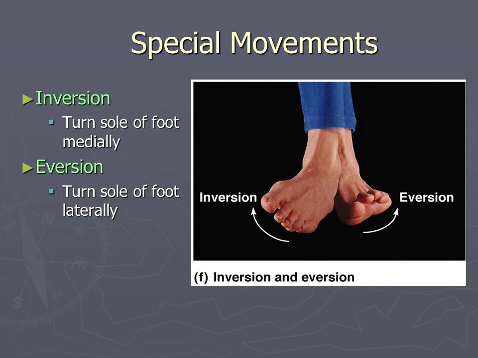 body movements.