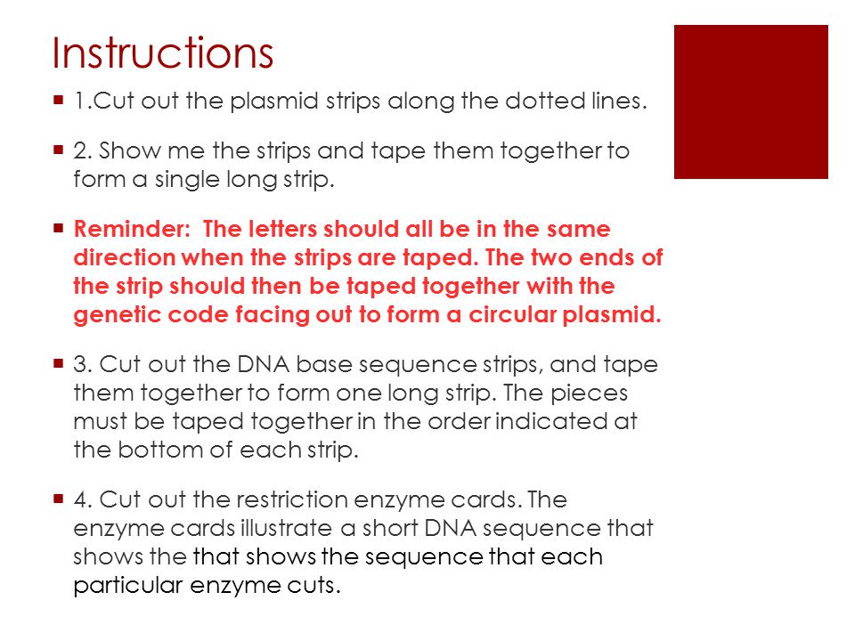 Instructions 1.Cut out the plasmid strips along the dotted lines.