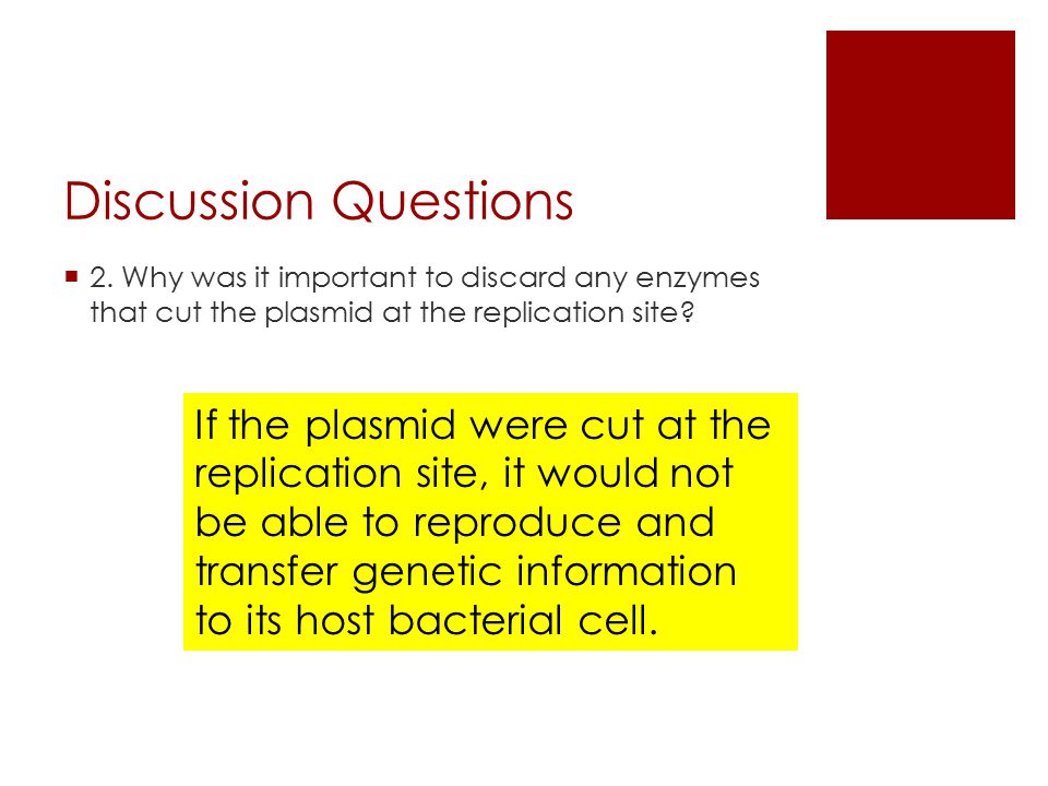 Discussion Questions 2. Why was it important to discard any enzymes that cut the plasmid at the replication site