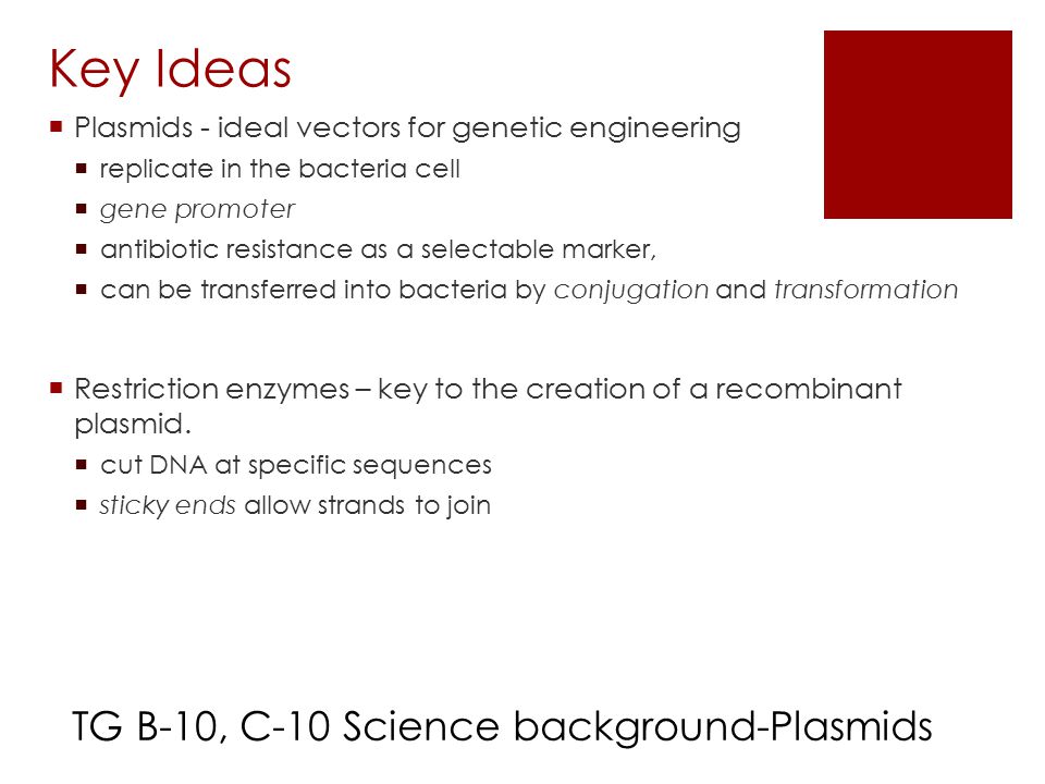 Key Ideas TG B-10, C-10 Science background-Plasmids