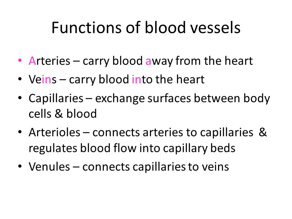 Functions of blood vessels