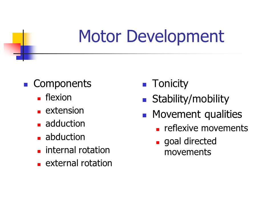 Motor Development Components Tonicity Stability/mobility