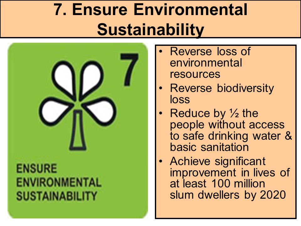 7. Ensure Environmental Sustainability