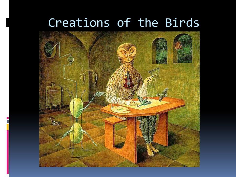 Creations of the Birds