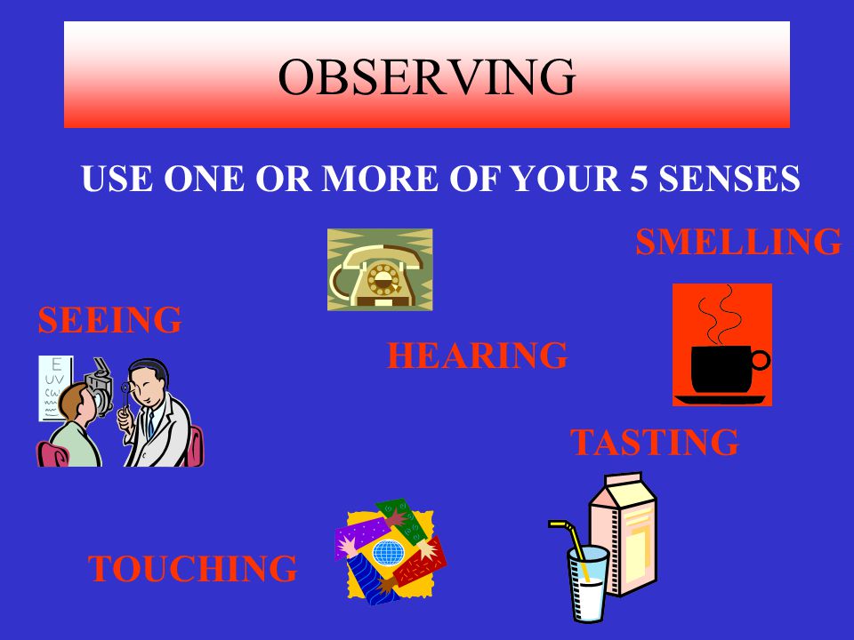 OBSERVING USE ONE OR MORE OF YOUR 5 SENSES SMELLING SEEING HEARING