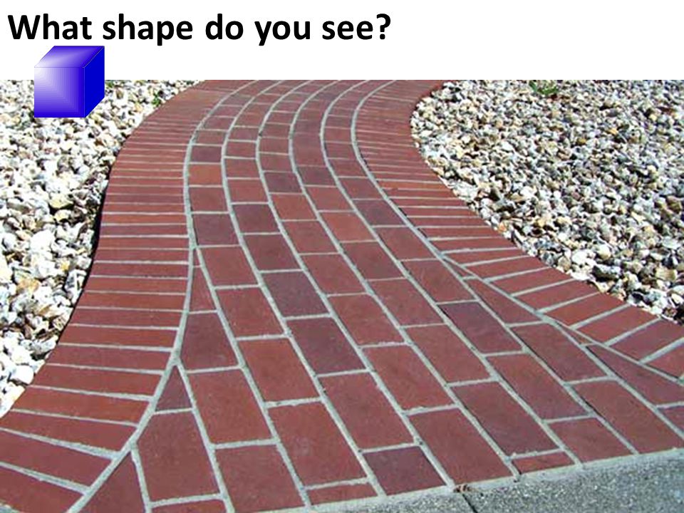 What shape do you see