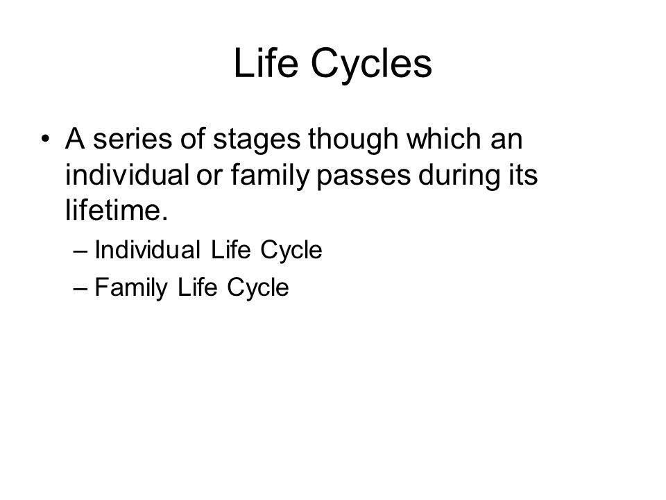 Life Cycles A series of stages though which an individual or family passes during its lifetime. Individual Life Cycle.