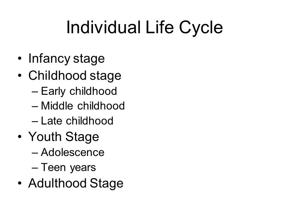 Individual Life Cycle Infancy stage Childhood stage Youth Stage