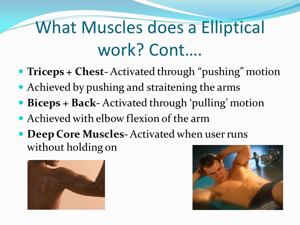 What Muscles does a Elliptical work Cont….
