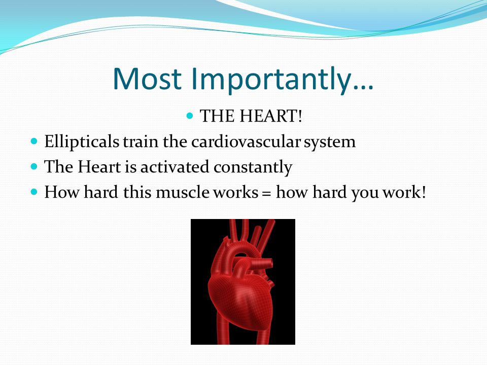 Most Importantly… THE HEART!