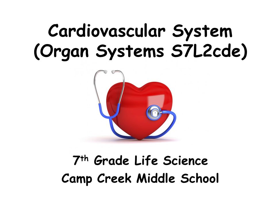 Cardiovascular System (Organ Systems S7L2cde)