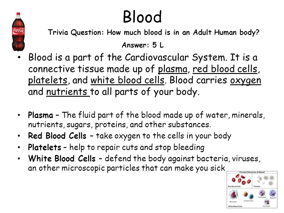 Trivia Question: How much blood is in an Adult Human body