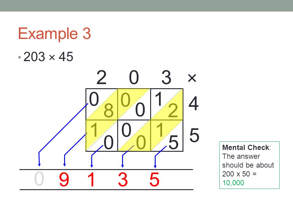 Example × × Mental Check: The answer should be about 200 x 50 = 10,000.