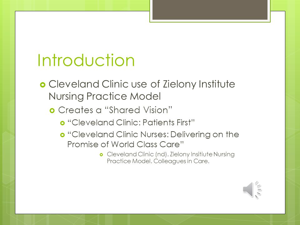 Introduction Cleveland Clinic use of Zielony Institute Nursing Practice Model. Creates a Shared Vision
