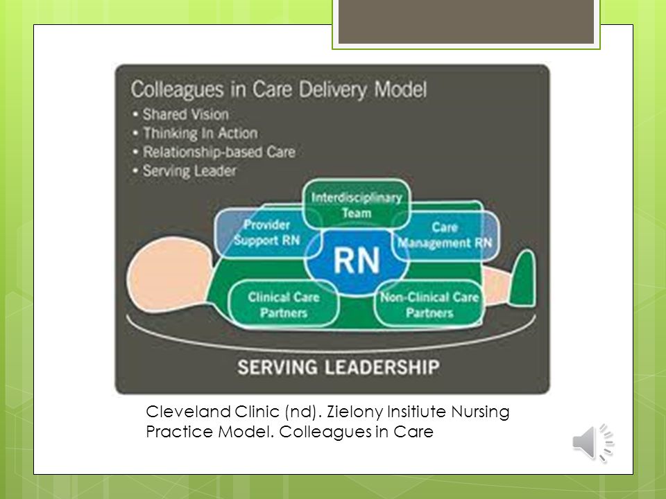 Cleveland Clinic (nd). Zielony Insitiute Nursing Practice Model