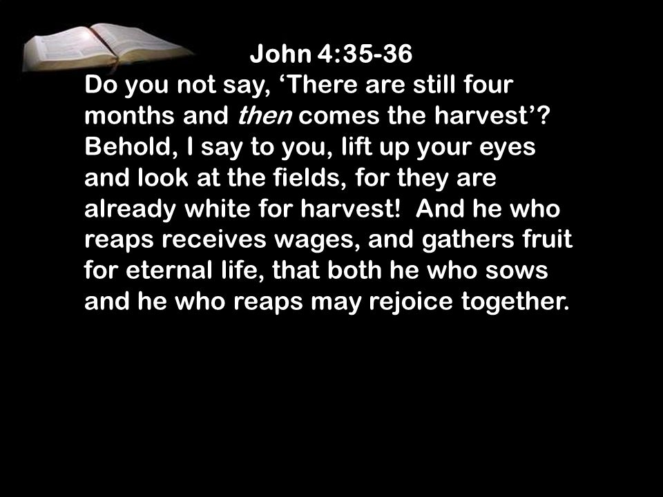 John 4:35-36