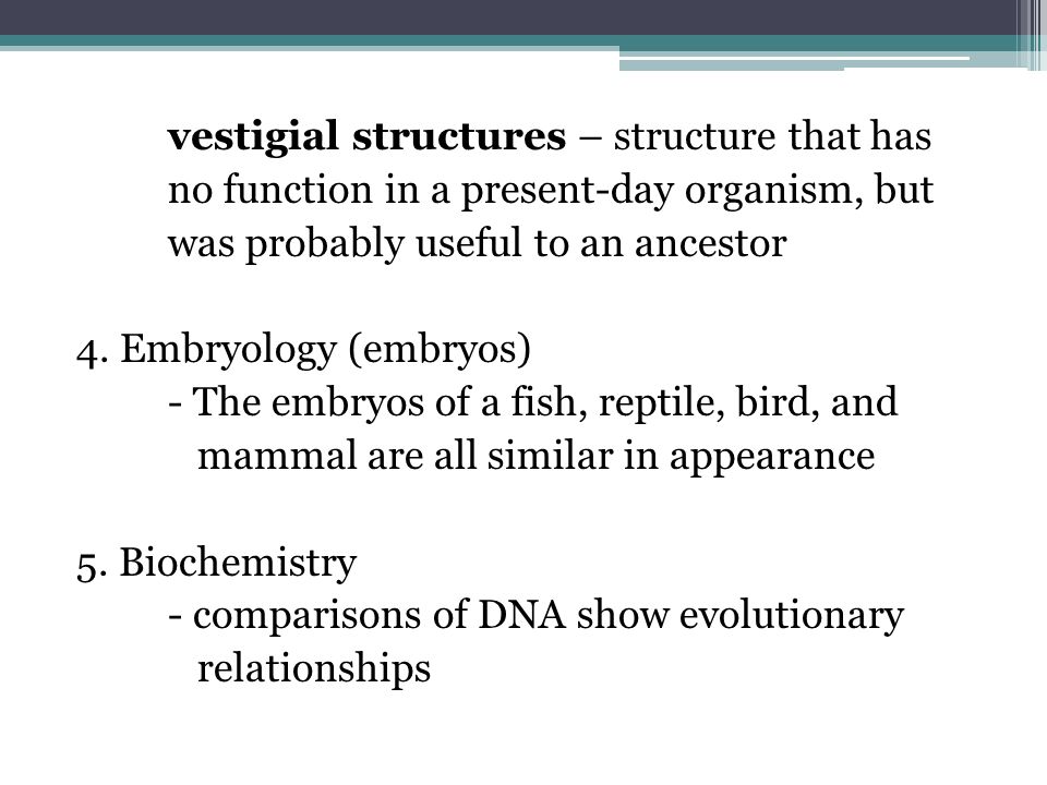 vestigial structures – structure that has no function in a present-day organism, but was probably useful to an ancestor 4.