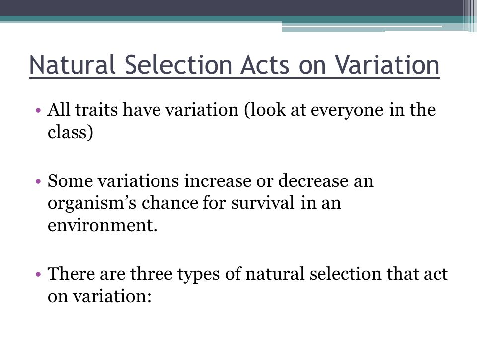 Natural Selection Acts on Variation
