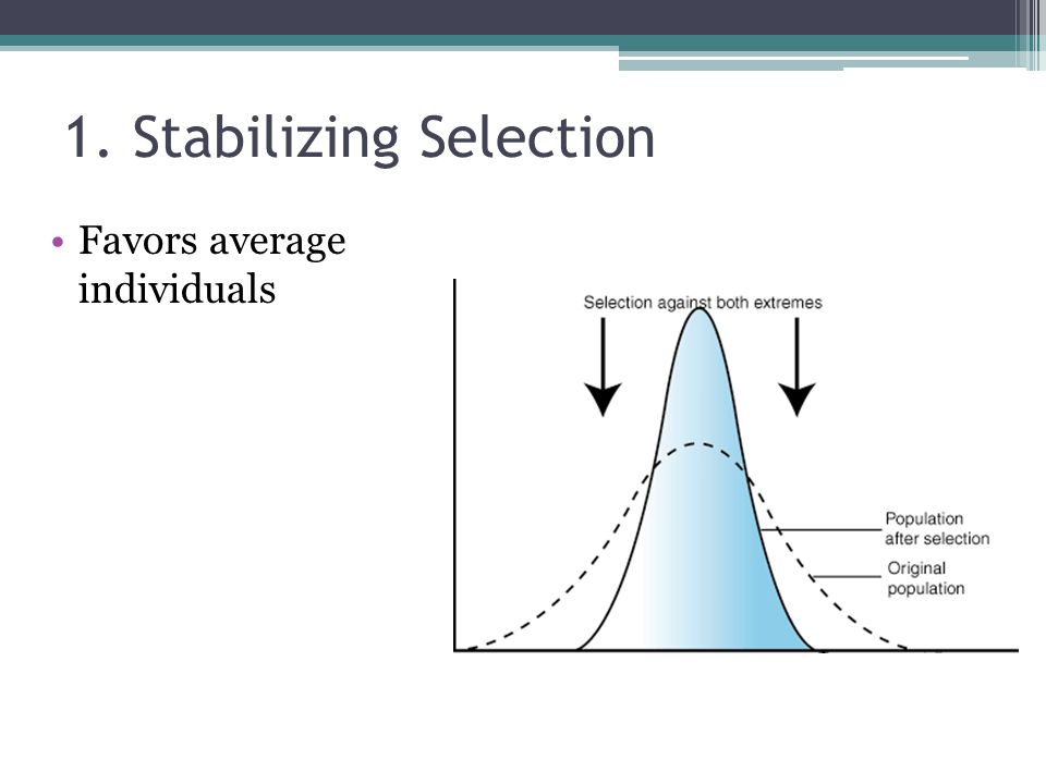 1. Stabilizing Selection