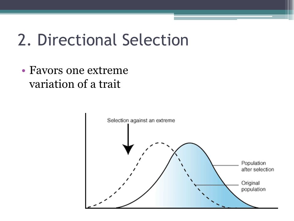 2. Directional Selection