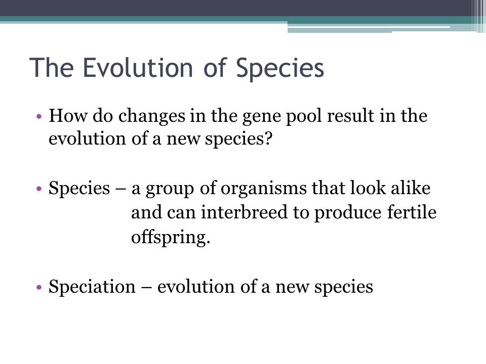 The Evolution of Species