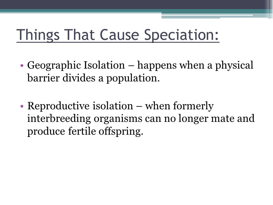 Things That Cause Speciation: